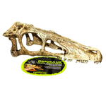 Komodo Dinosaur Skull Ornament Small