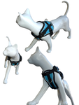 K9 Homes Cat Harness & Leash [SZ:Small Blue]