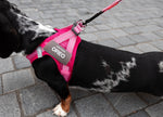 EzyDog FormFit Mesh Harness Pink [SZ:XX-SMALL (27-31cm Girth)]