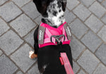 EzyDog FormFit Mesh Harness Pink [SZ:XX-SMALL (27-31cm Girth)]